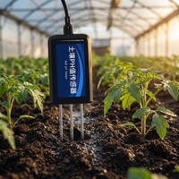 Soil pH sensor installed in greenhouse soil between tomato seedlings for agricultural monitoring