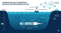Reducing Infrastructure Costs in Aquaculture Through Multi-Parameter Monitoring