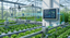 Optimizing Crop Protection Strategies with Real-Time UV Monitoring
